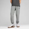 Зображення Puma Штани Essentials No. 1 Logo Sweatpants Men #3: Medium Gray Heather