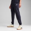 Изображение Puma Брюки Essentials No. 1 Logo Sweatpants Men #1: new navy