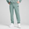 Изображение Puma Брюки Essentials No. 1 Logo Sweatpants Men #1: Green Moon
