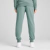 Изображение Puma Брюки Essentials No. 1 Logo Sweatpants Men #2: Green Moon