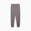 Изображение Puma Брюки Essentials No. 1 Logo Sweatpants Men #4: Cast Iron