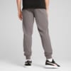 Изображение Puma Брюки Essentials No. 1 Logo Sweatpants Men #2: Cast Iron