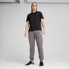 Изображение Puma Брюки Essentials No. 1 Logo Sweatpants Men #3: Cast Iron