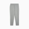 Изображение Puma Штаны Essentials No. 1 Logo Sweatpants Men #7: Medium Gray Heather