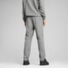 Зображення Puma Штани Essentials No. 1 Logo Sweatpants Men #4: Medium Gray Heather