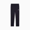 Зображення Puma Штани Essentials No. 1 Logo Sweatpants Men #4: new navy