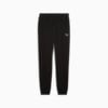 Изображение Puma Брюки Essentials Sweatpants Men #6: Puma Black