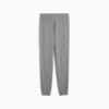 Зображення Puma Штани Essentials No. 1 Logo Jersey Pants Men #7: Medium Gray Heather