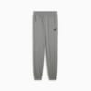 Зображення Puma Штани Essentials No. 1 Logo Jersey Pants Men #6: Medium Gray Heather
