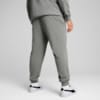 Зображення Puma Штани Essentials No. 1 Logo Jersey Pants Men #4: Medium Gray Heather