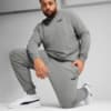 Зображення Puma Штани Essentials No. 1 Logo Jersey Pants Men #5: Medium Gray Heather