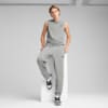 Зображення Puma Штани Essentials No. 1 Logo Jersey Pants Men #3: Medium Gray Heather