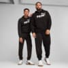 Изображение Puma Брюки Essentials No.1 Logo Poly Pants Men #1: Puma Black