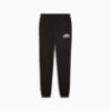 Зображення Puma Дитячі штани PUMA SQUAD Sweatpants Youth #4: Puma Black