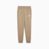 Изображение Puma Детские брюки PUMA SQUAD Sweatpants Youth #4: Oak Branch