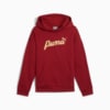 Зображення Puma Дитяче худі ESS+ SCRIPT Hoodie Youth #4: Intense Red-gold foil