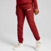 Изображение Puma Детские брюки ESS+ SCRIPT Pants Youth #1: Intense Red-gold foil