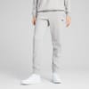Зображення Puma Штани Essentials Sweatpants Women #3: light gray heather
