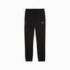 Изображение Puma Брюки PUMATECH Pants Men #6: Puma Black