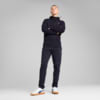 Imagen PUMA Chaqueta con capucha EVOSTRIPE para hombre #2