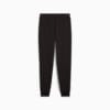 Зображення Puma Штани PUMA Sport Sweatpants Men #7: Puma Black