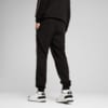 Зображення Puma Штани PUMA Sport Sweatpants Men #4: Puma Black