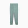 Зображення Puma Штани PUMA Sport Sweatpants Men #7: Green Moon