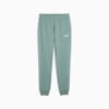 Зображення Puma Штани PUMA Sport Sweatpants Men #6: Green Moon