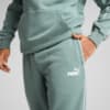 Зображення Puma Штани PUMA Sport Sweatpants Men #2: Green Moon