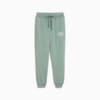 Зображення Puma Штани PUMA Class Washed Sweatpants Men #6: Green Moon