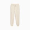 Изображение Puma Брюки PUMA Class Sweatpants Men #6: Alpine Snow