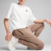 Зображення Puma Штани PUMA Class Sweatpants Men #2: Totally Taupe