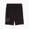Изображение Puma Шорты Essentials Logo Lab Execution 10