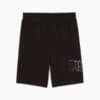 Изображение Puma Шорты Essentials Logo Lab Execution 10