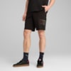 Изображение Puma Шорты Essentials Logo Lab Execution 10