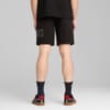 Изображение Puma Шорты Essentials Logo Lab Execution 10