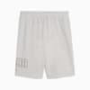 Изображение Puma Шорты Essentials Logo Lab Execution 10