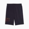 Изображение Puma Шорты Essentials Logo Lab Execution 10