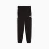 Зображення Puma Штани Essentials Block Sweatpants Men #6: Puma Black