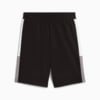 Зображення Puma Шорти Essentials Block 10