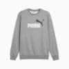 Imagen PUMA Polerón frisado Essentials 2 Colour No. 1 Logo para hombre #1