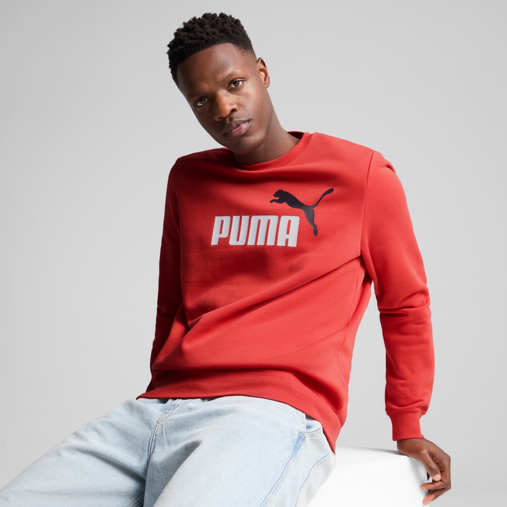 Imagen PUMA Polerón frisado Essentials 2 Colour No. 1 Logo para hombre #1