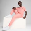 Зображення Puma Футболка Essentials 2 Colour Small No. 1 Logo Tee Men #3: Pink Fruit