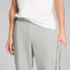 Зображення Puma Спортивний костюм Hooded Sweat Suit Men #4: light gray heather