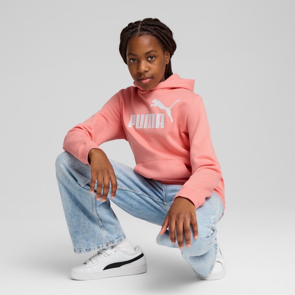 Image PUMA Moletom com Capuz ESS No. 1 Logo Fleece Juvenil #2