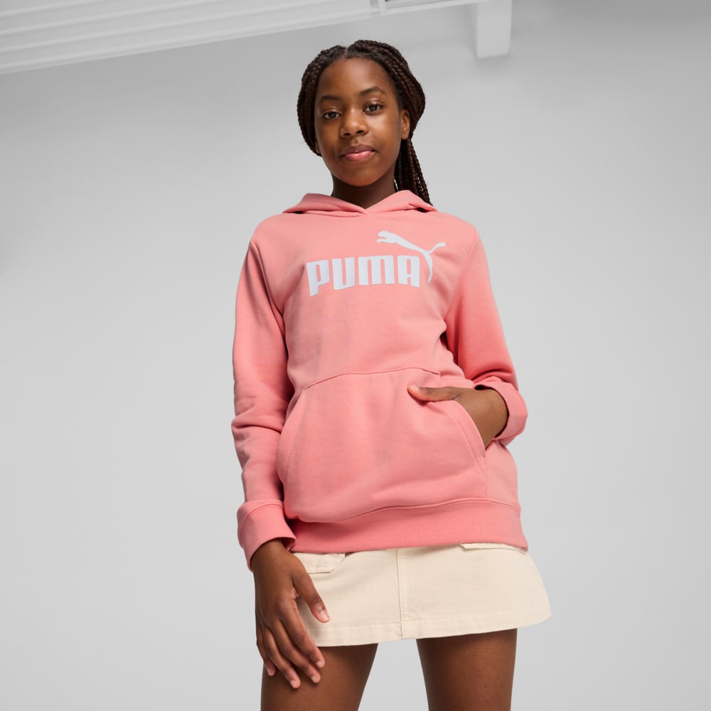 Изображение Puma Детское худи ESS No. 1 Logo Hoodie Youth #1: Pink Fruit