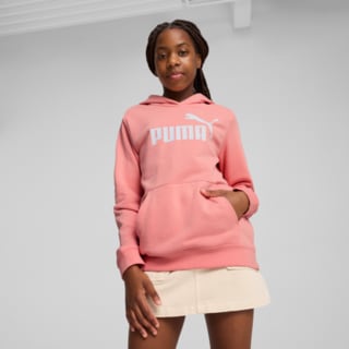 Изображение Puma Детское худи ESS No. 1 Logo Hoodie Youth