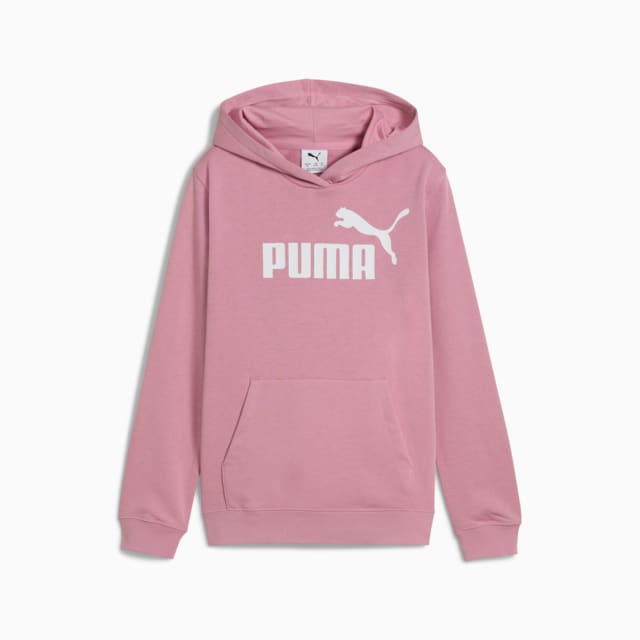 Image PUMA Moletom com Capuz ESS No. 1 Logo Juvenil
