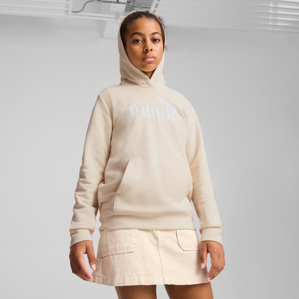 Зображення Puma Дитяче худі ESS No. 1 Logo Hoodie Youth #1: Alpine Snow