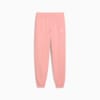 Зображення Puma Дитячі штани ESS Sweatpants Youth #4: Pink Fruit
